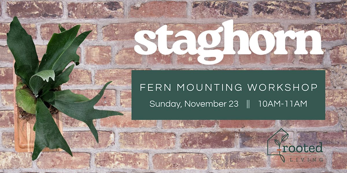 Staghorn Fern Mounting Workshop