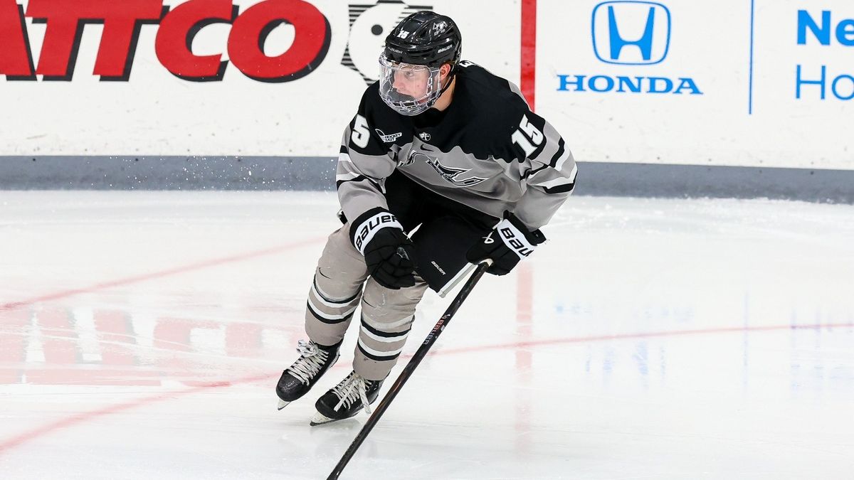 Vermont Catamounts at Providence College Friars Mens Hockey at Schneider Arena