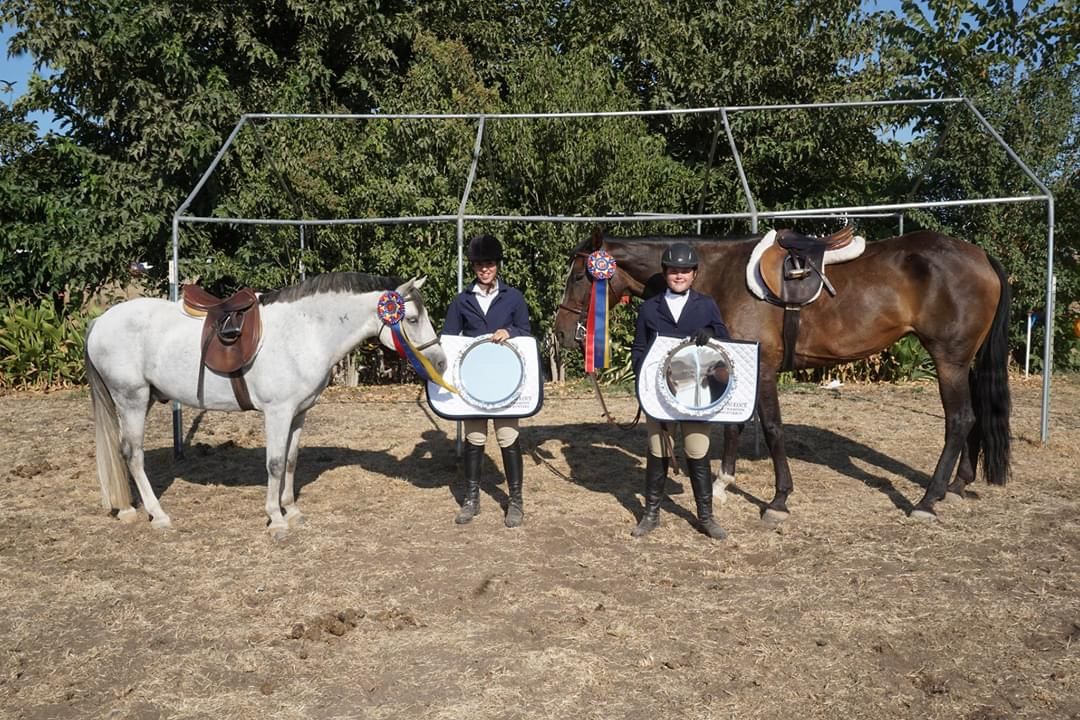 Summer Six Week Sessions for Beginning Riders