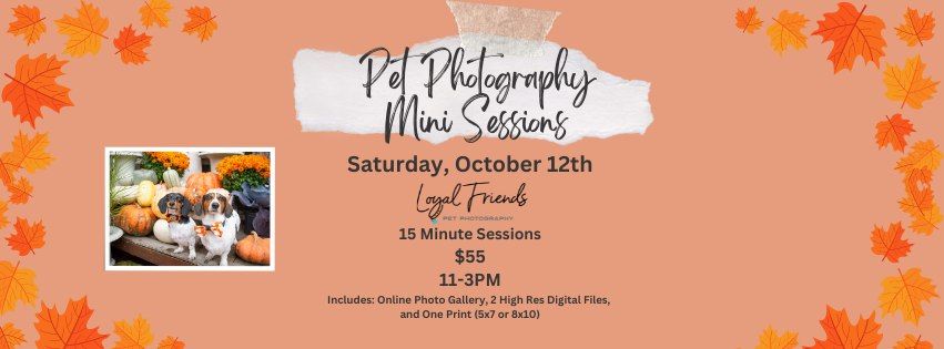 Pet Photography Mini Sessions