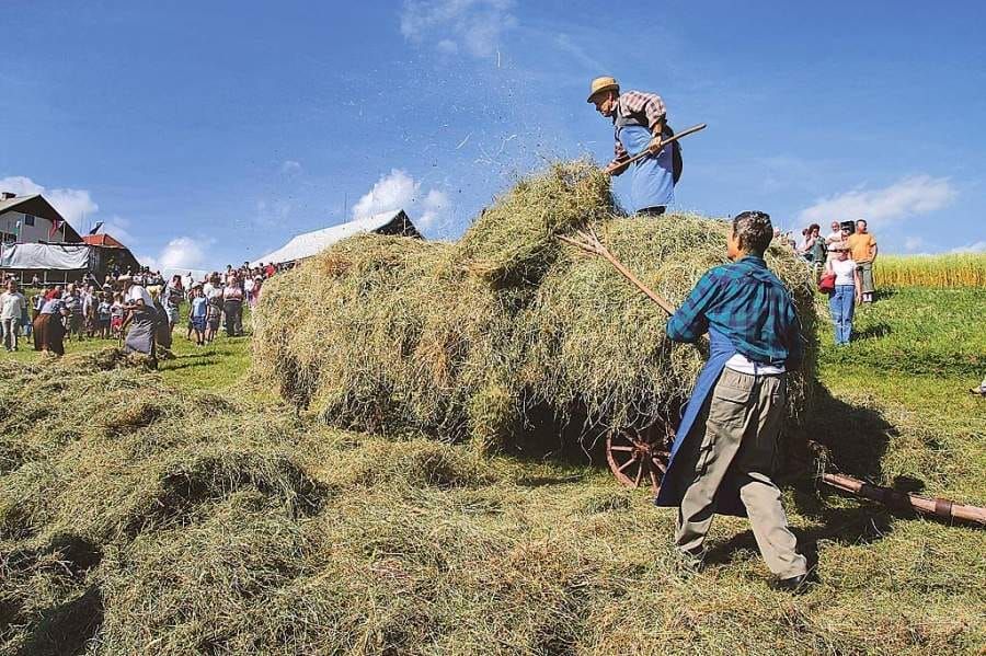 Tradicionalno iskanje \u0161ivanke v senu