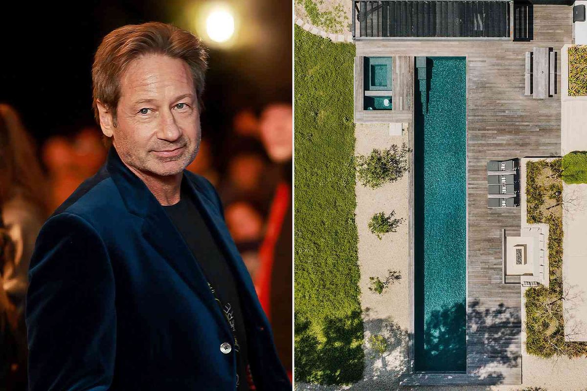 David Duchovny (21+)