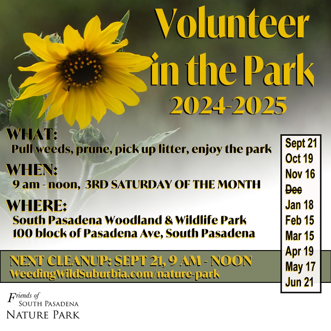 Nature Park Volunteer Day