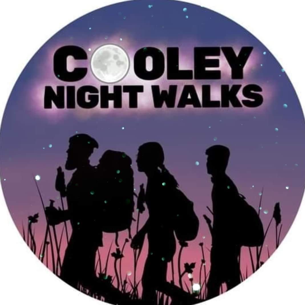 Cooley Christmas nightwalk