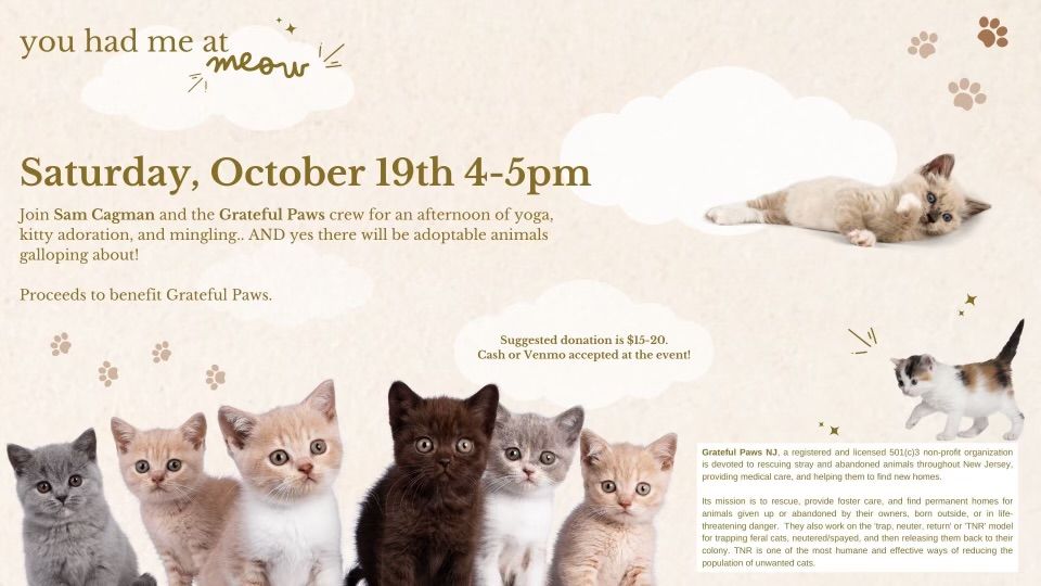 Kitten Yoga: Fundraiser and Adoption Event