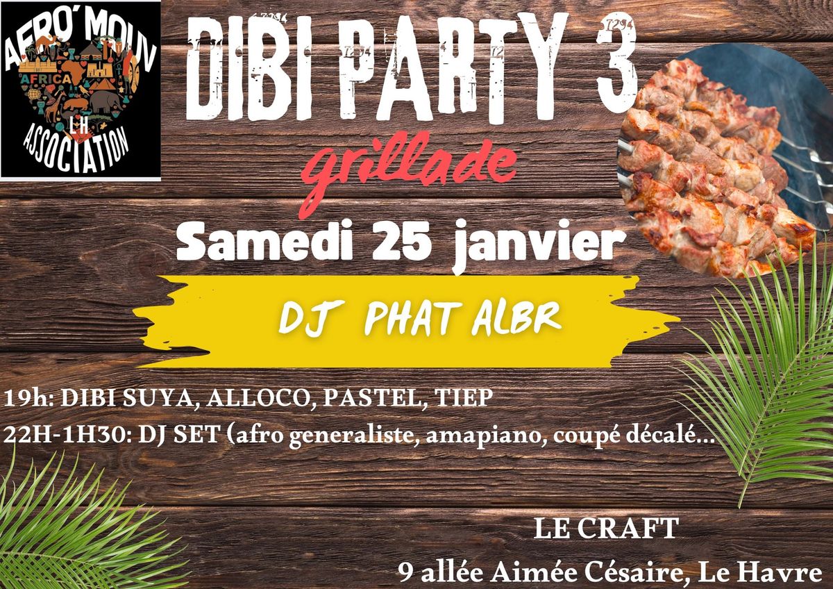 DIBI PARTY 3