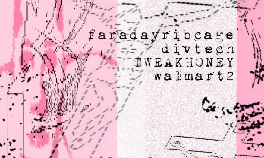 faradayribcage w\/ Divtech, walmart2, & TWEAKHONEY