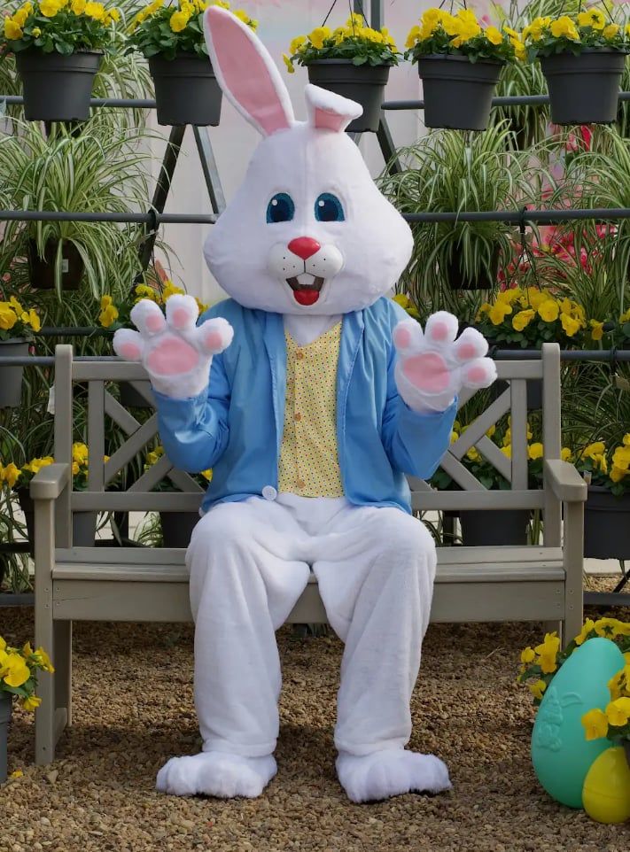 Photos with the Easter Bunny