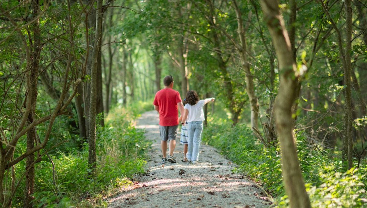 Trails at Conner Prairie: Time with Trees