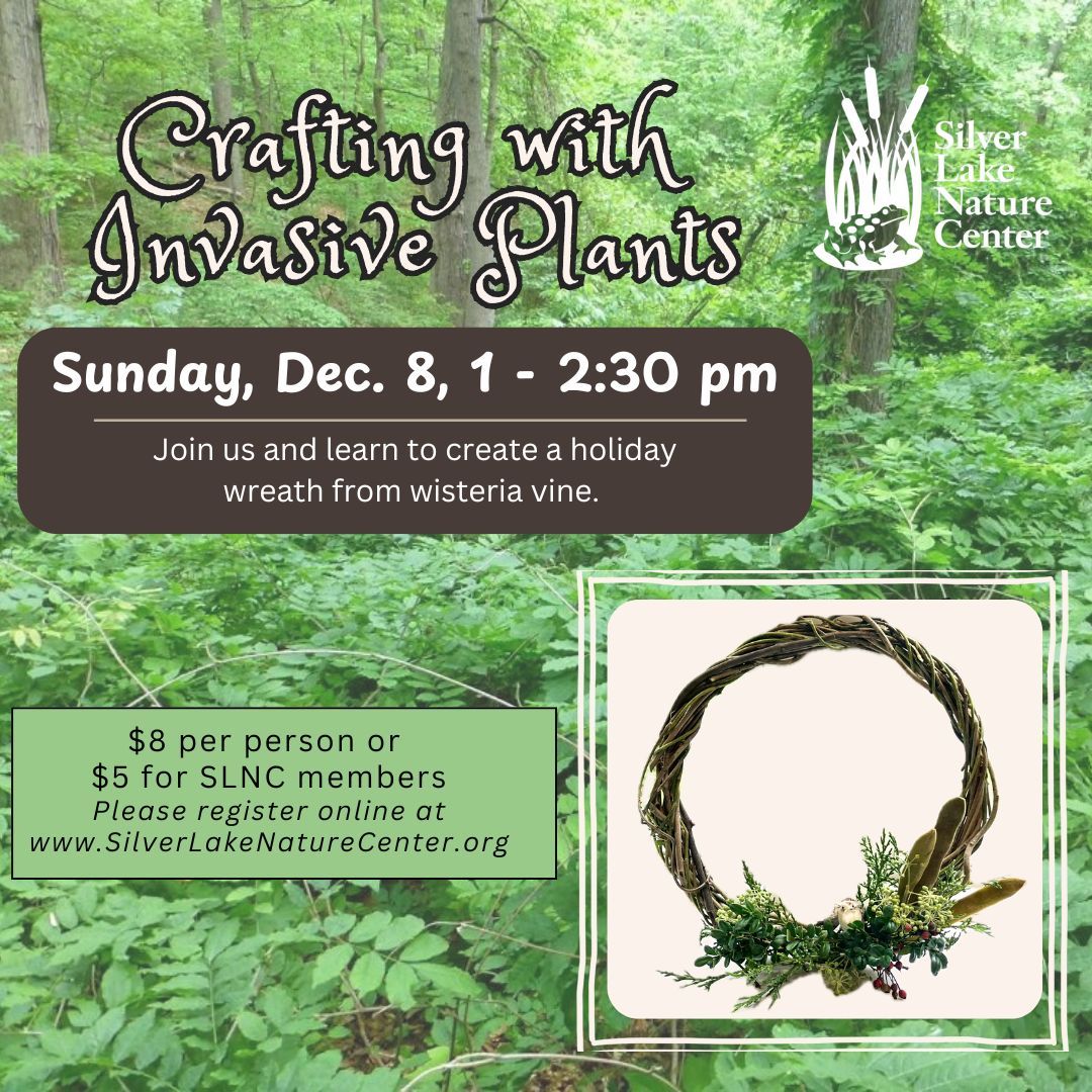 Crafting with Invasive Plants 