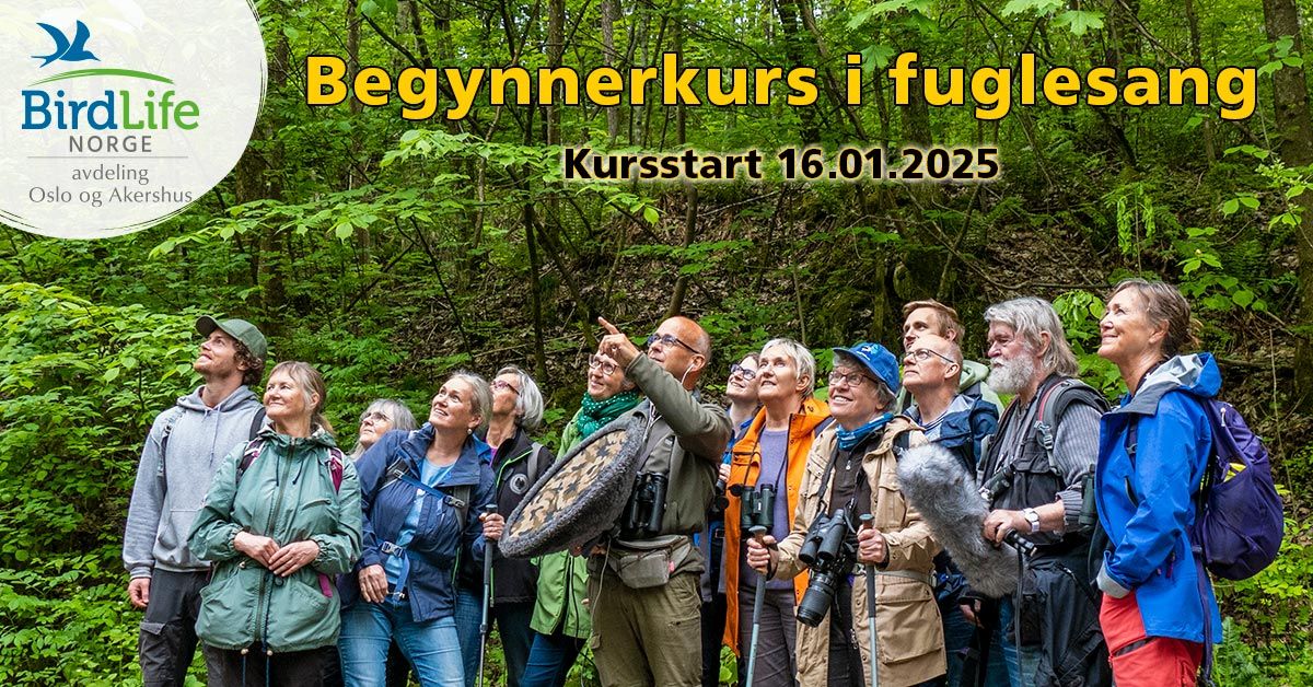 Begynnerkurs i fuglesang