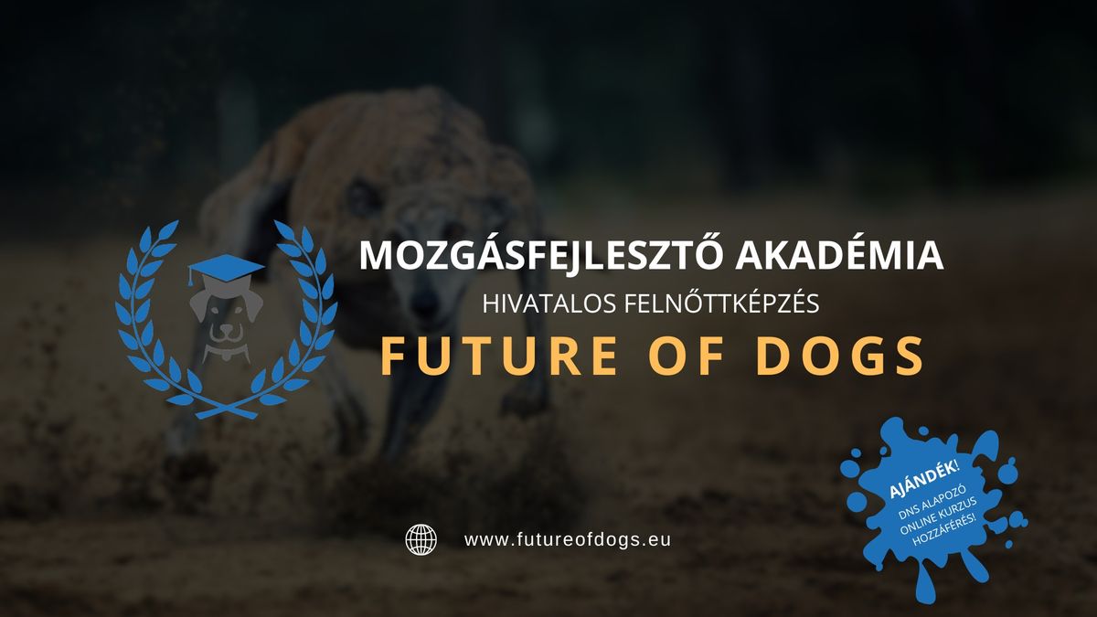 Future of Dogs - Mozg\u00e1sfejleszt\u0151 Akad\u00e9mia (hivatalos feln\u0151ttk\u00e9pz\u00e9s)