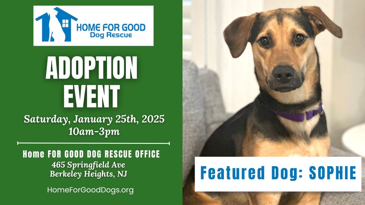 Adoption Event at HFGDR Office: 1.25.2025