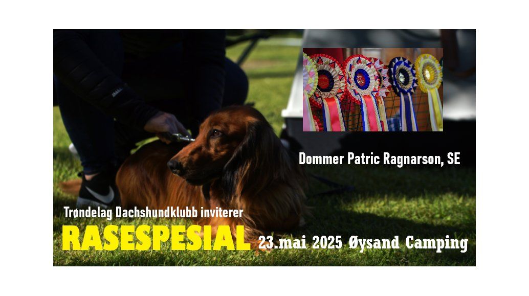 Rasespesial Tr\u00f8ndelag Dachshundklubb 23.mai 2025