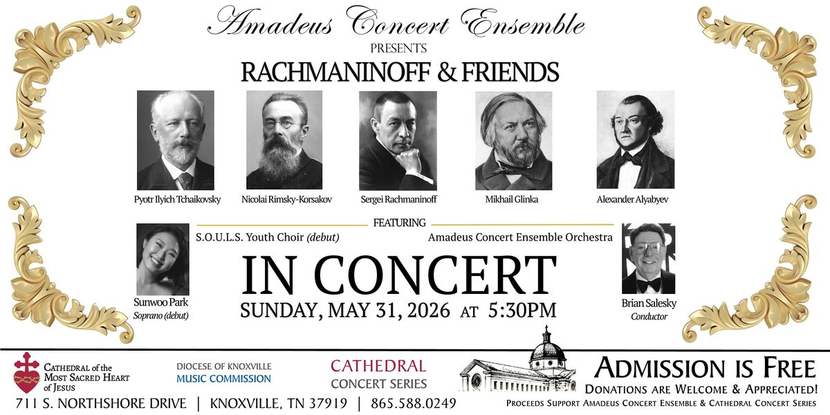 Cathedral Concert: Amadeus Concert Ensemble