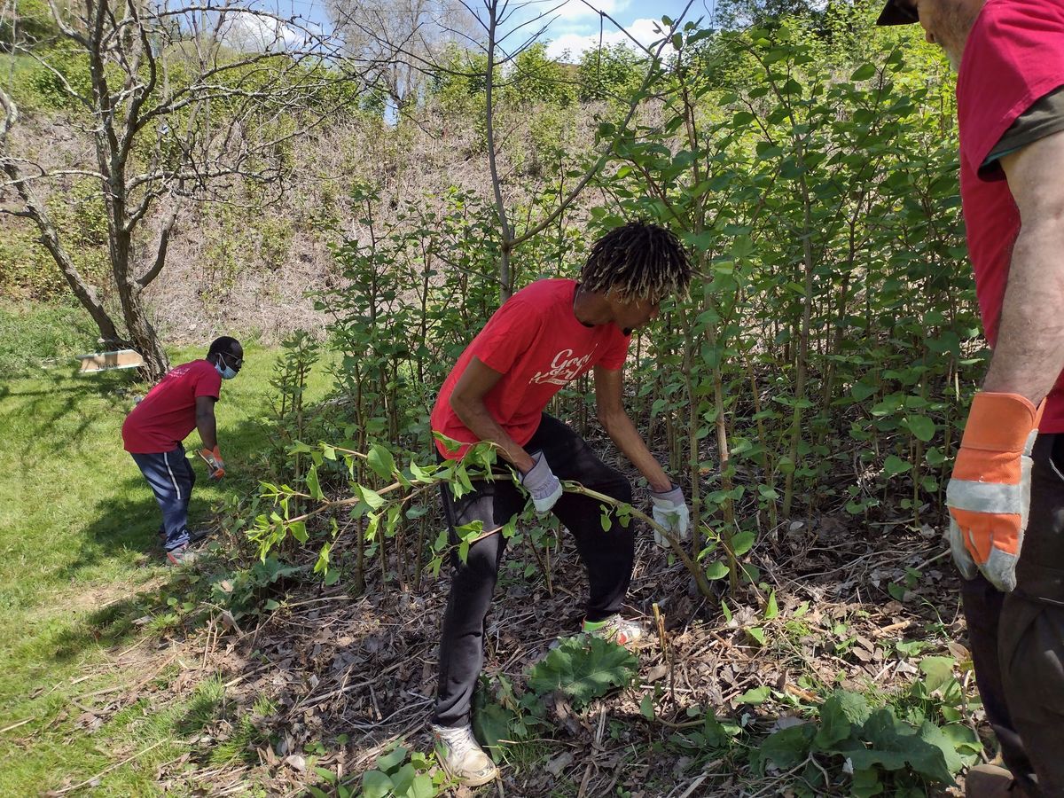 Edible Park Workday