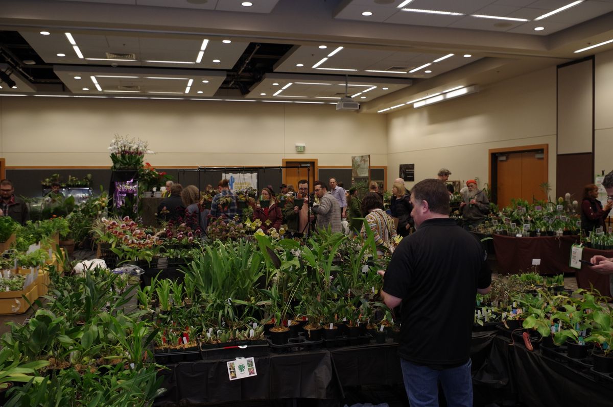 2025 Indoor Plant Festival