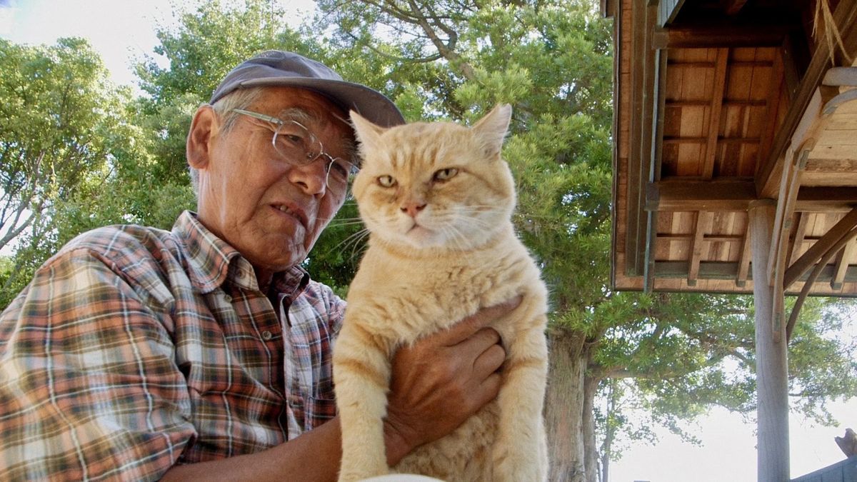 DIE KATZEN VOM GOKOGU-SCHREIN (Gokogu no Neko)