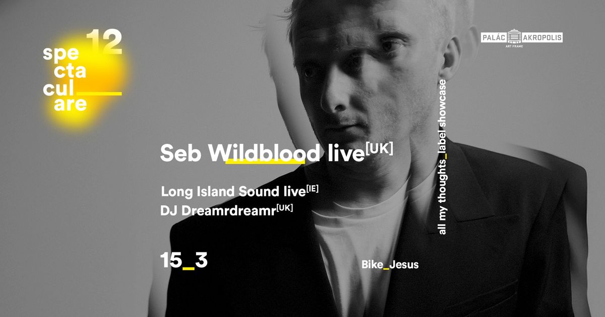 Seb Wildblood live | Spectaculare_12