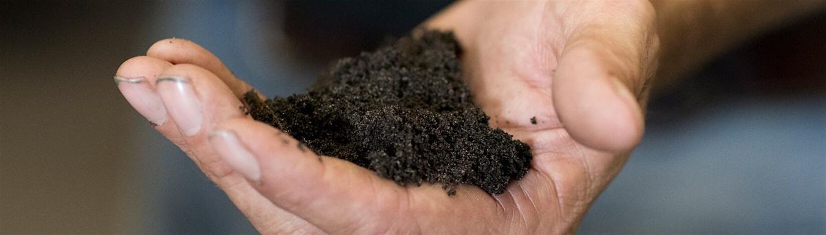 2-4-2026  Gardening in Florida Soil