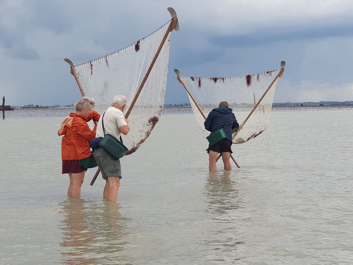 Rando Inititation P\u00eache \u00e0 pied "Crevettes, et Cie..." Dans la Baie du Mont-Saint-