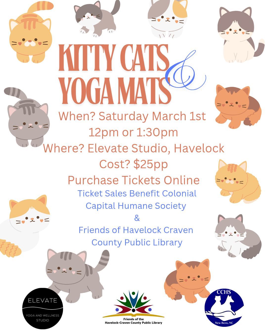 Kitty Cats and Yoga Mats 2.0