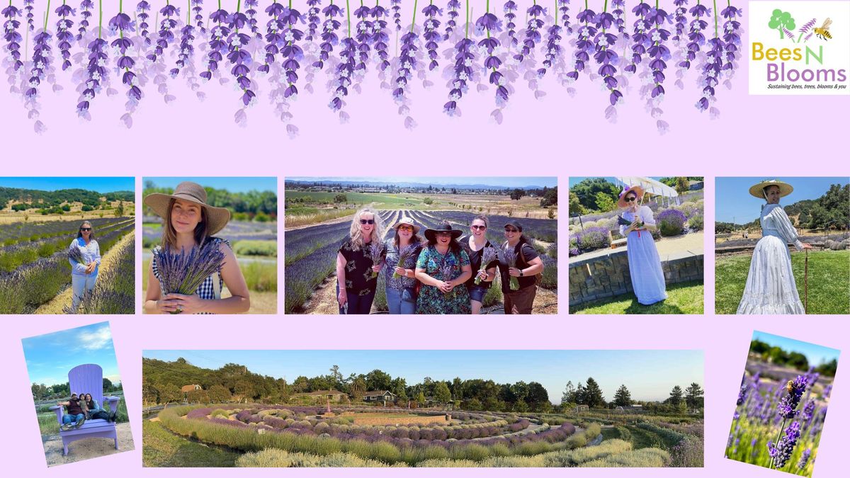 Lavender Daze U-Cut Experience & Best Dressed Contest at Bees N Blooms