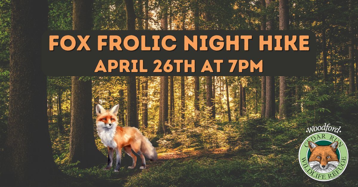 Fox Frolic Night Hike