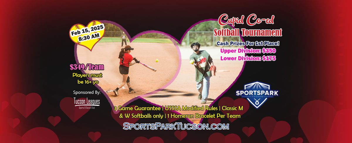 Feb15th Softball Tournament Co-ed 10v10