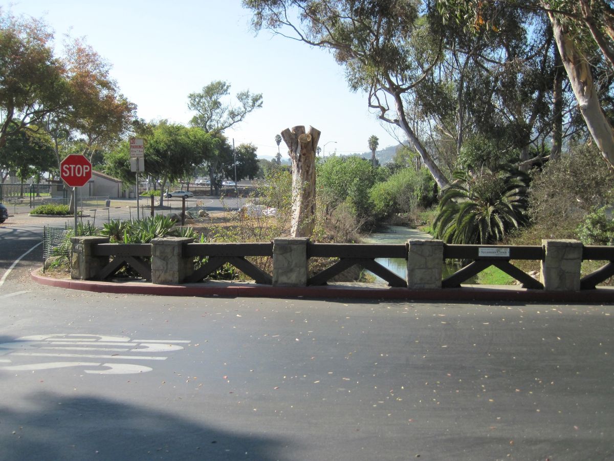 Sycamore Creek Cleanup with the Santa Barbara Zoo