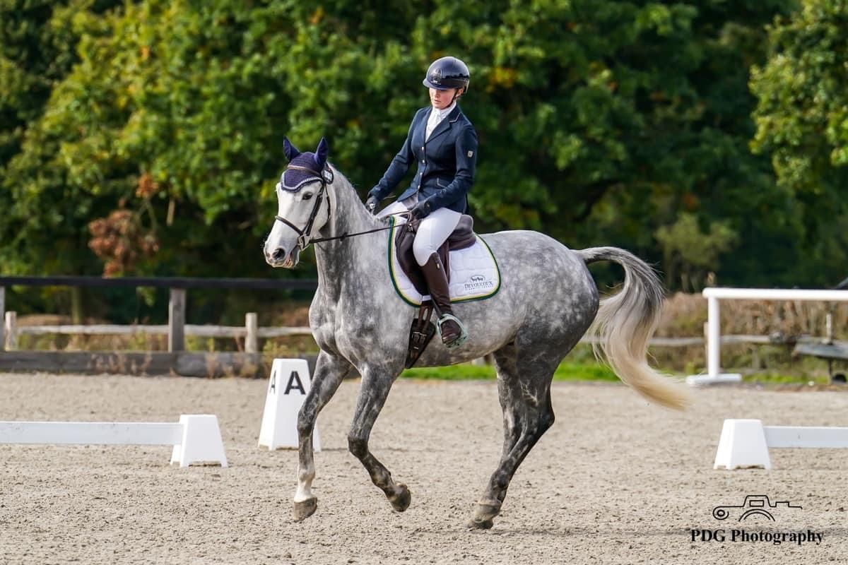 BD & Unaffiliated Dressage @ Golden Cross EC