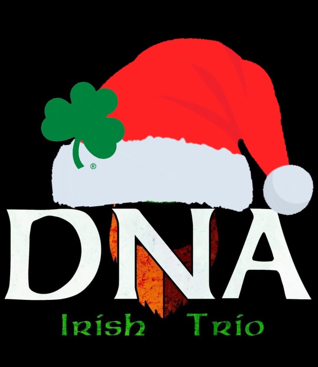 IRISH CHRISTMAS Night - DNA Irish Trio LIVE