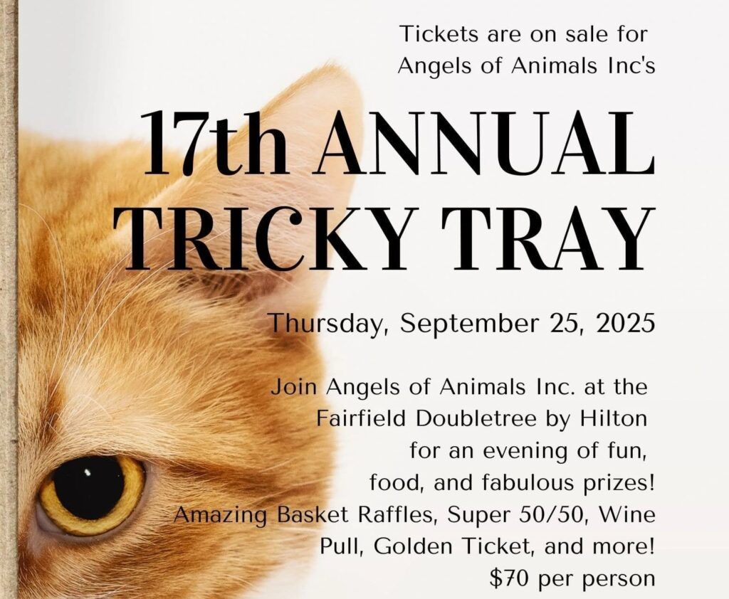 Tricky at Bristol Beacon