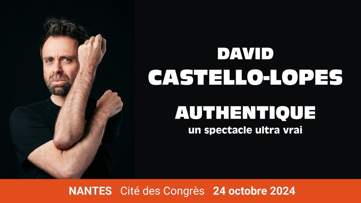 DAVID CASTELLO-LOPES "Authentique" - Nantes - Cit\u00e9 des Congr\u00e8s - 24 octobre 2024