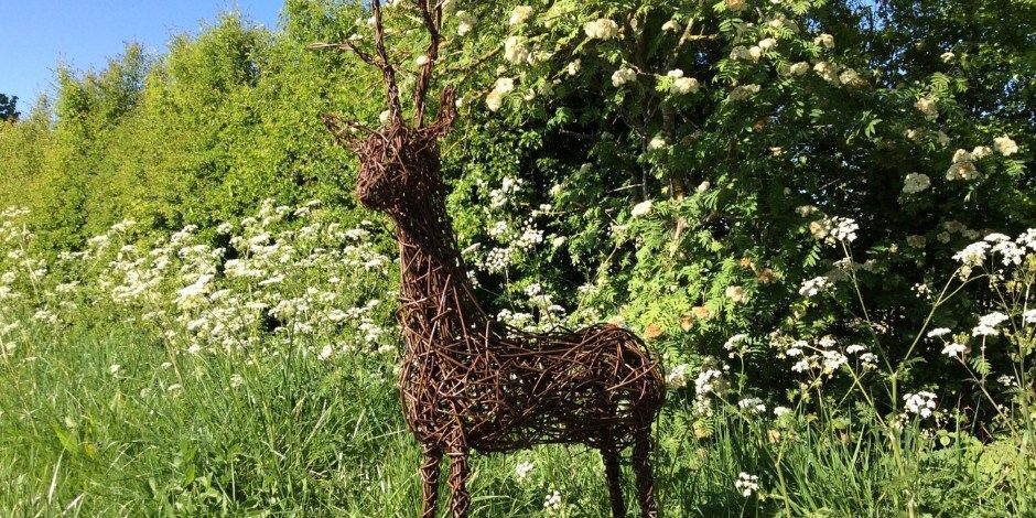 Willow deer workshop