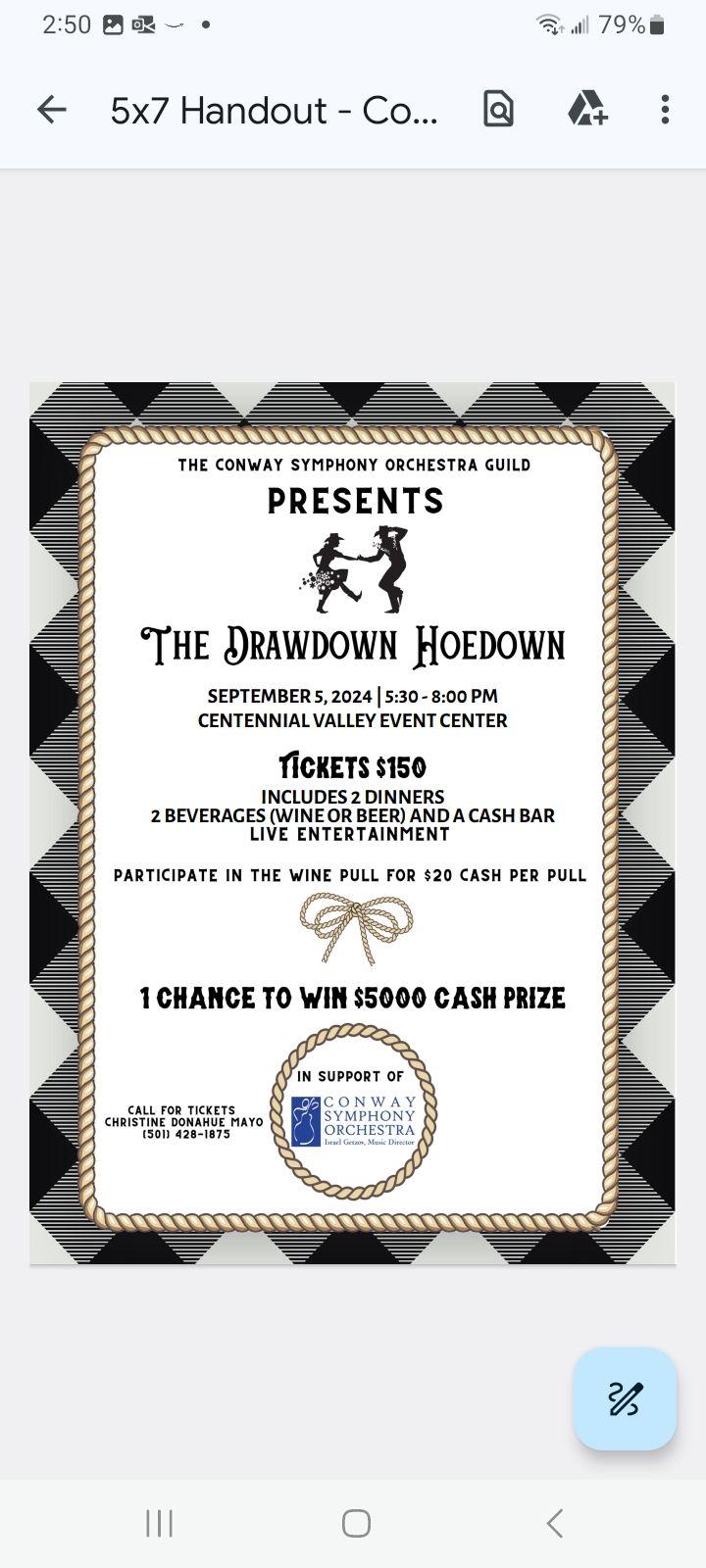 The DrawDown Hoedown (CSO Guild Fundraiser)