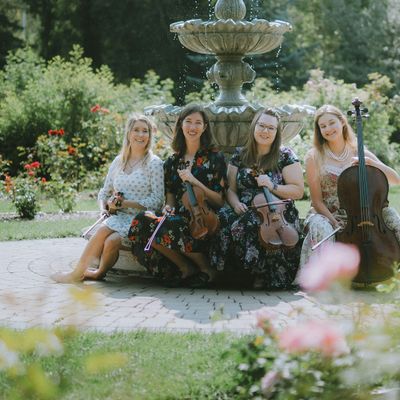 Vertex Quartet