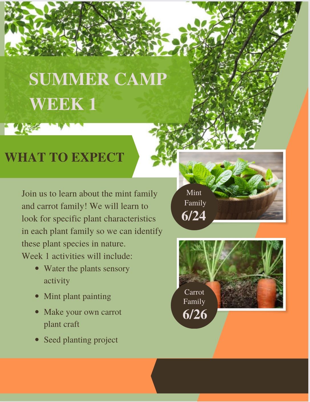 Summer Camp Week 1 