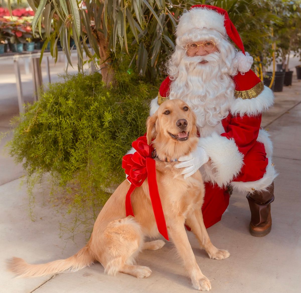 Pictures with Santa 