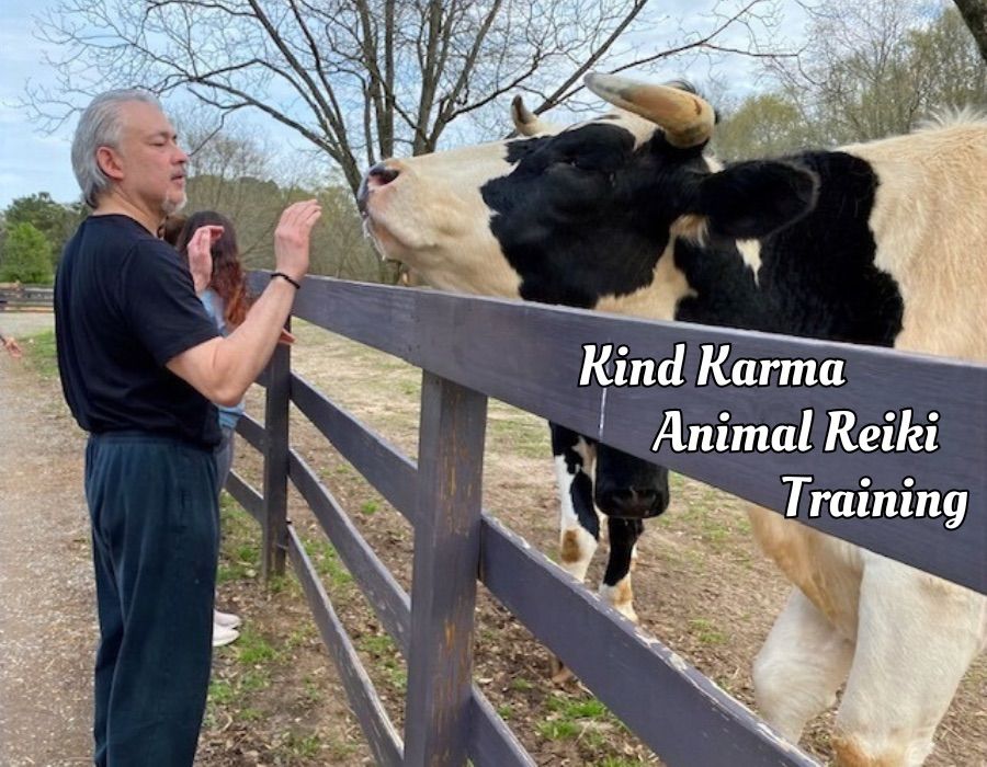 Kind Karma Animal Reiki Training 