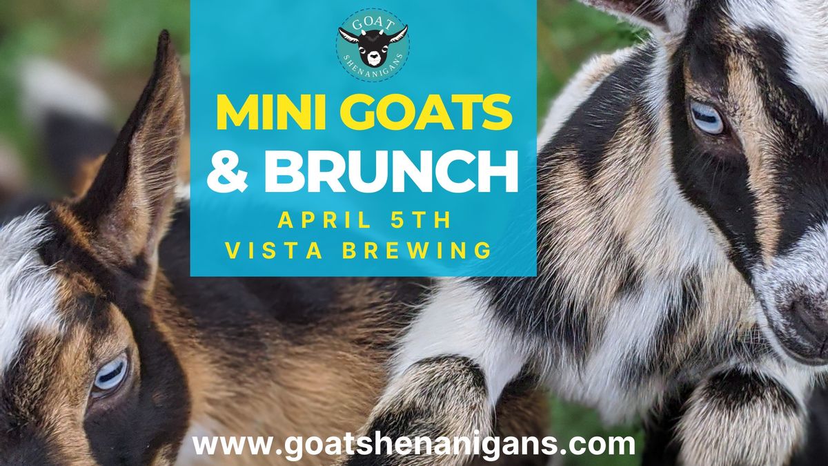 Mini Goats and Brunch