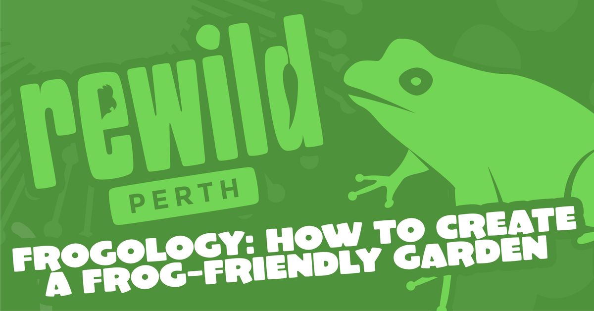 Frogology: How to Create a Frog-Friendly Garden (Rockingham)