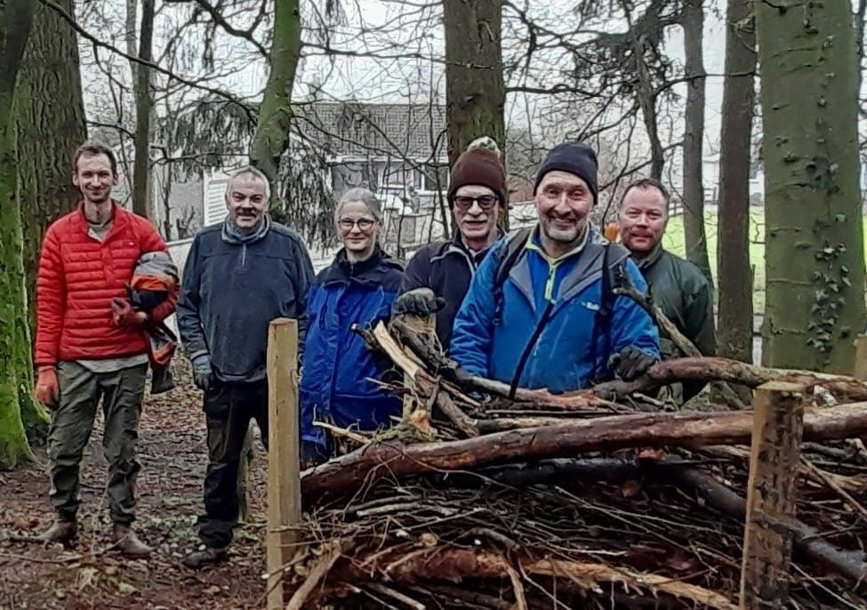 Volunteering in the Woods