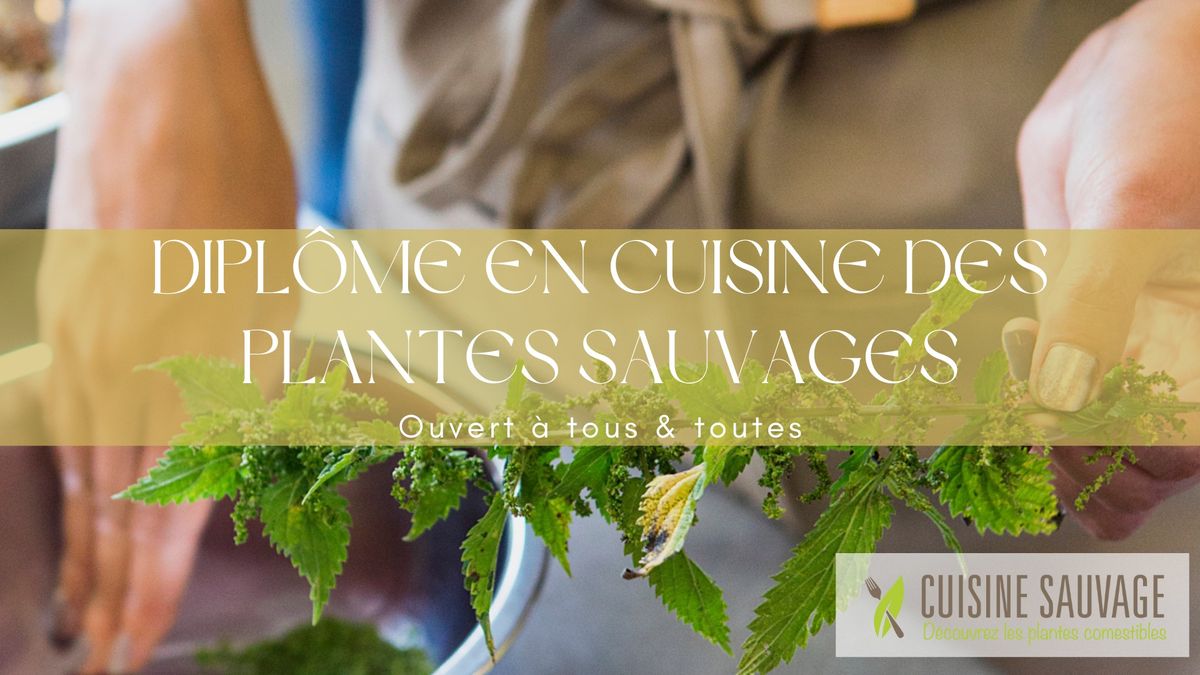 Formation en cuisine des plantes sauvages