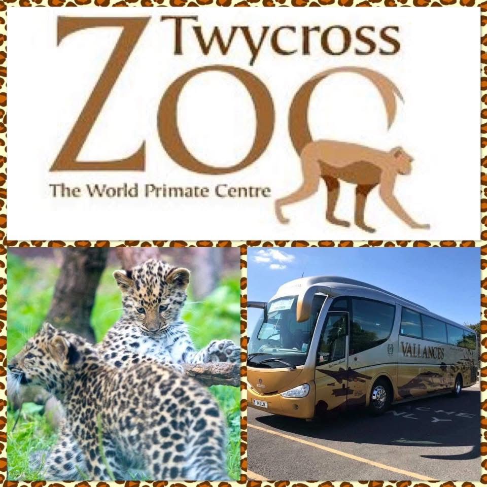 Coach trip to Twycross Zoo 