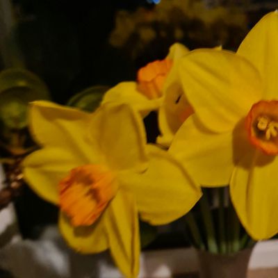 Ecclesall Green Party