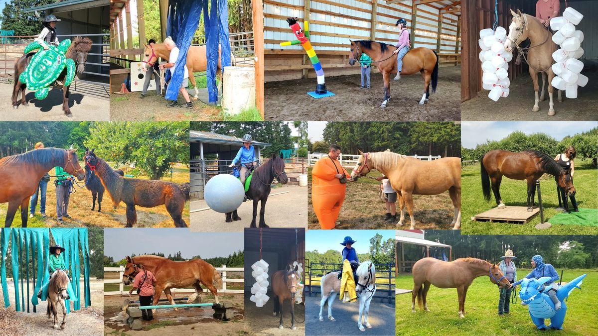 Build a Calm and Confident Horse Clinic 