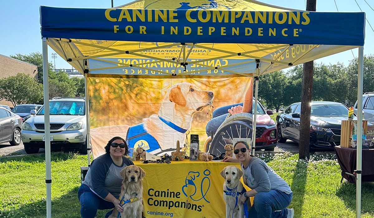 Parking The Christi Show