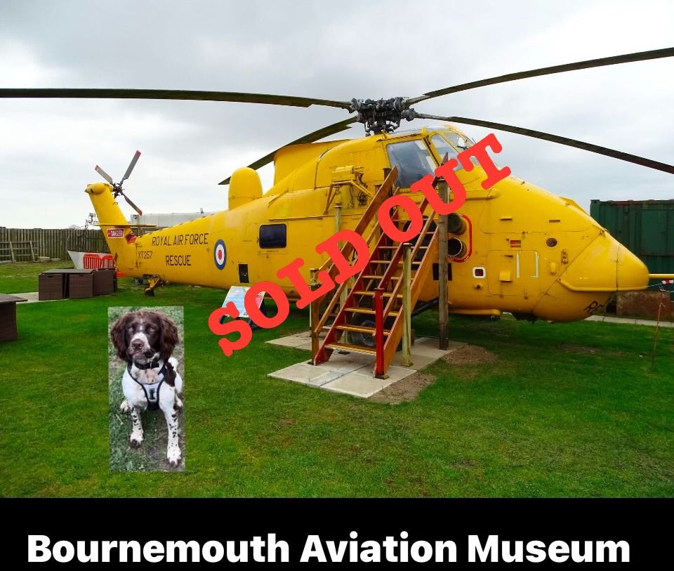 Scent Detection Workshop at the Bournemouth Aviation Museum