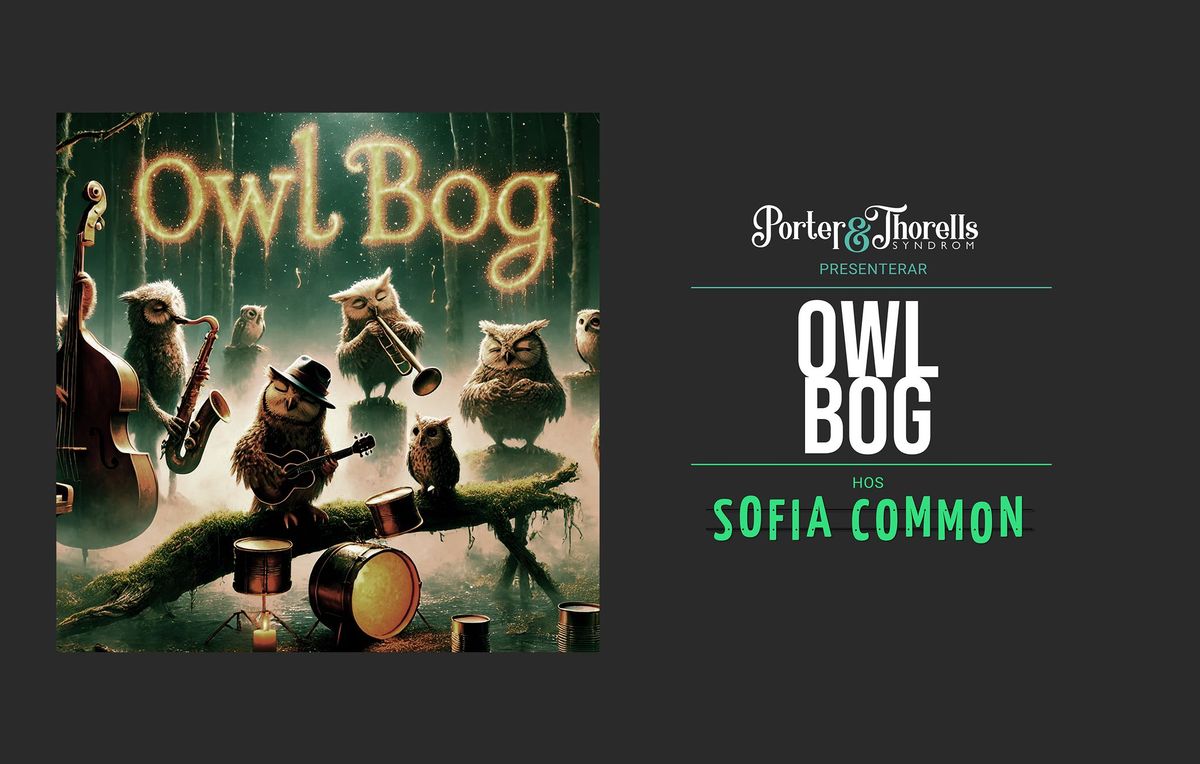 OWL BOG